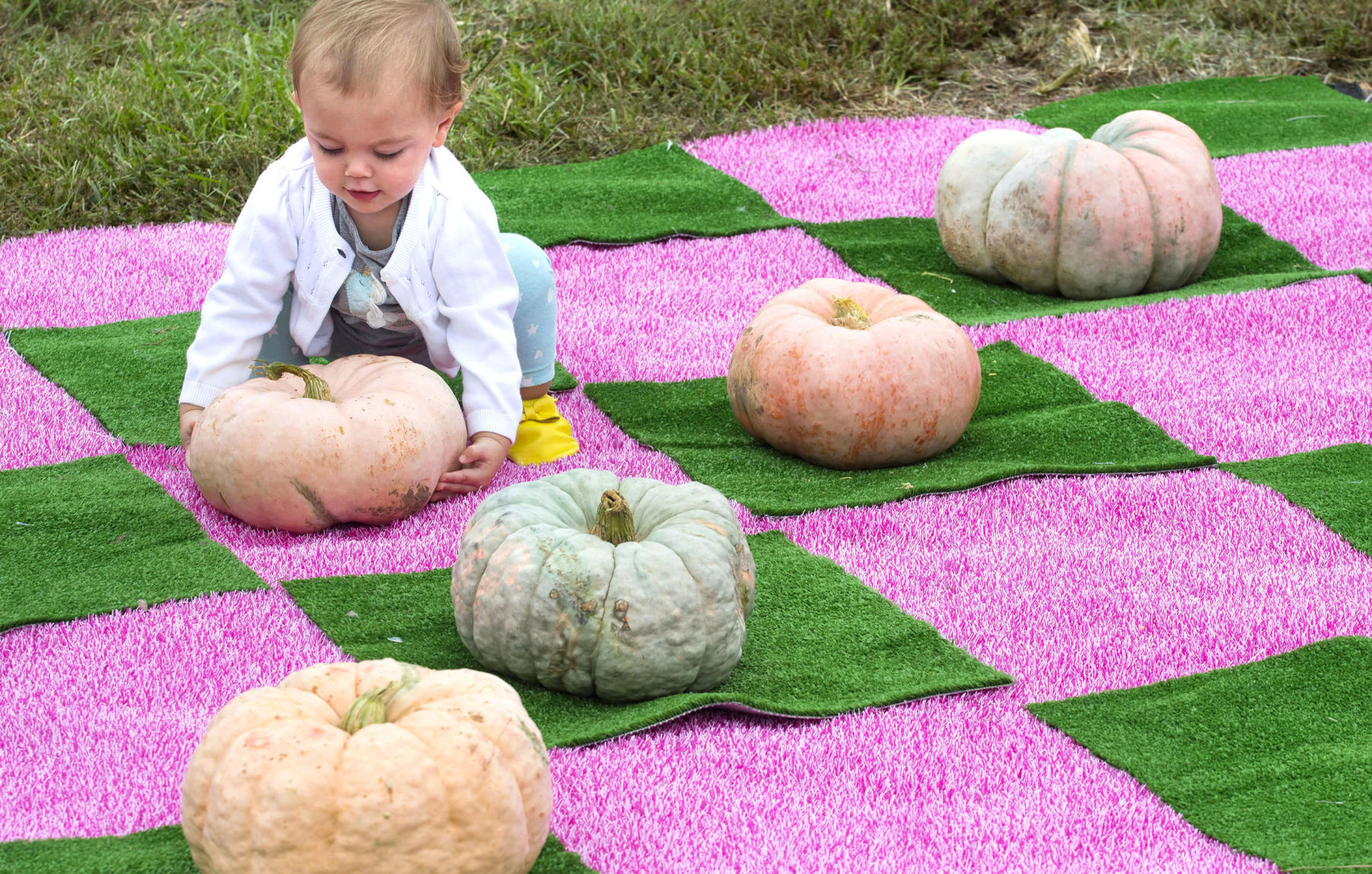 CROP NEW BR.pinkpumpkins.100919 TS 132.jpg